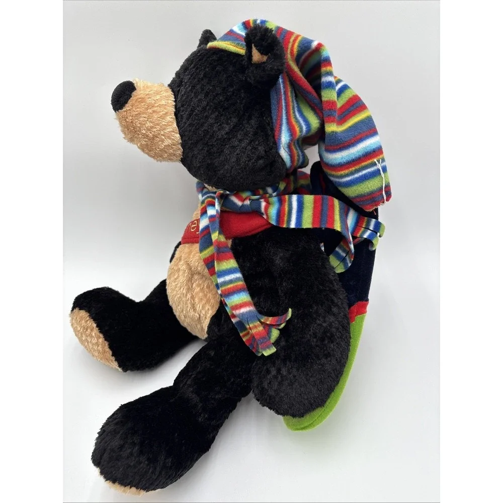 Gund Schooney Cellxion Snow‎ Boarding Bear Plush 2005 20